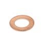 Packing Ring 8x15x1 DIN7603 for Nilfisk MC 3C, MC 4M Pressure Washers - OEM No. 65466