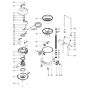 Numatic WV470 Vacuum Assembly