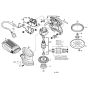 Bosch PEX 220 A Sander Assembly