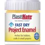 Fast Dry Enamel Paint B31 Bottle Gold Leaf 59ml by Plasti-kote - 440.0000031.067
