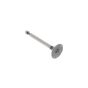 Intake Valve - Robin Part - RB226 33401 03