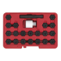 Locking Wheel Nut Key Set 22pc - Audi Sealey Part No. SX206