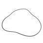 Hub O-Ring Thwaites Mach 166 - No. T51882