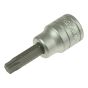 Torx Socket Bits 3/8in Drive