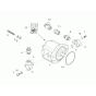 Gear Pump Assembly