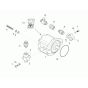 Gear Pump Assembly