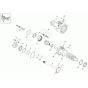 Axle Case & Wheel Hub Assembly