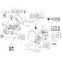 Decals for Neuson 3001 Dumper