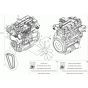 Engine Assembly for Neuson 6001