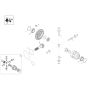 Differential Axle Assembly