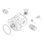 Gear Pump Assembly