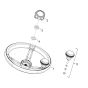 Steering Wheel Assembly