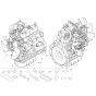 Engine Assembly for Neuson 38Z3
