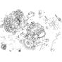 Engine Assembly for Wacker 9503