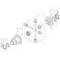 Differential Rear Assembly