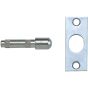 Yale P125 Hinge Bolts