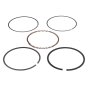Piston Ring Set for Stihl/Kawasaki FJ180V Engine - OEM No. 0001 007 1003