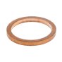 Seal for Wacker RD27 Roller - OEM No. 0161393