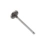 Inlet Valve for M.A.G. Engines - OEM No. 0243 111
