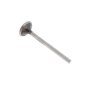 Exhaust Valve for M.A.G. Engines - OEM No. 0243 112