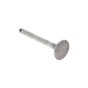 Inlet Valve (INITIAL Series Only ) For Mag 1014 SRL Engine - 0243 123
