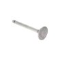 Inlet Valve For A Mag 1014 SRL Engine - 0243 130