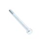 Hex Screw for Wacker DW60, DW90, DW100 Wheel Dumpers - OEM No. 1000350323