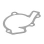 Water Pump Gasket for Kawasaki FD440V, FD501D, FD501V Engines - OEM No. 110611543