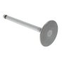 Valve Suction for Yanmar L60AE, L70AE Engines - 114350-11101