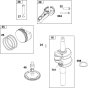 Crankshaft Assembly for Briggs