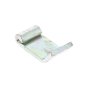 Recoil Starter Pawl for Kawasaki FH381V, FH430V Engines - OEM No. 131657001