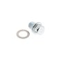 Kit, Drain Plug for Kohler Kohler ECH440, CH395, CH440 Engine Engines - 17 139 05-S