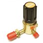 Propane Regulator 4 bar Single Stage for Workshop Use