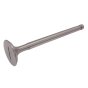 Valve Inlet/Exhaust to suit Lister Diesel Engines - 201 19360