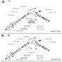 Bevel Gear Assembly for 232RJ