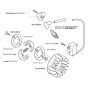 Ignition System & Clutch