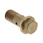 Banjo Bolt for Villiers C30/2 Industrial Engines - OEM No. 32591