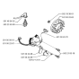 Ignition System for Husqvarna