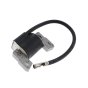 Ignition Coil Module for Briggs & Stratton 120502, 120T02 Engines - Replaces 799382