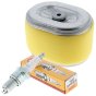 N/G Service Kit for Bomag BVP18/45 Vibrating Plate