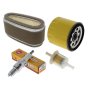 Service Kit for Kawasaki FC400V, FC401V, FC420V Engines - 400 428