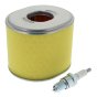 Service Kit for Honda GX340, GX390 Engines - 400 446