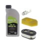 Service Kit for Briggs & Stratton 500-550 E, EX Series 5138 Engines