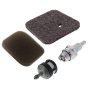 Service Kit for Stihl HS45 Hedgetrimmer (Pre 2mix)
