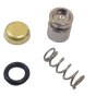 Pump Piston Kit for Stihl TS410, TS420 - 4238 120 9700