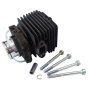 Cylinder - Genuine Stihl No. 4241 020 1204