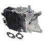Engine for Stihl BR500, BR550, BR600 Backpack Leaf Blower - OEM No. 4282 020 0203
