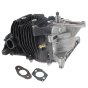 Engine for Stihl BR500, BR550, BR600 Backpack Leaf Blower - OEM No. 4282 020 0203