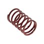Engine Valve Spring for Kawasaki FC150V, FE120D, FE120G Engines - OEM No. 490787001
