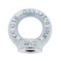 Eye Nut to DIN 582 -  i.d. 20mm x 6mm Thread